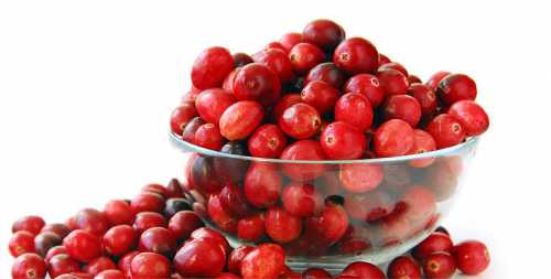 Исследования ученых доказали, что свежие ягоды клюквы и клюквенный сок, нормализуют обмен холестерина и препятствуют образованию тромбов в кровеносных сосудах