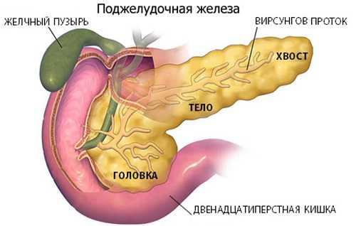 С наступлением прогрессирующей стадии небольшие очаги некроза предрасполагают развитию цирроза